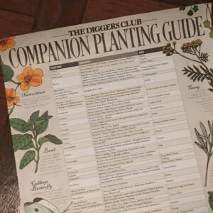 Companion planting guide